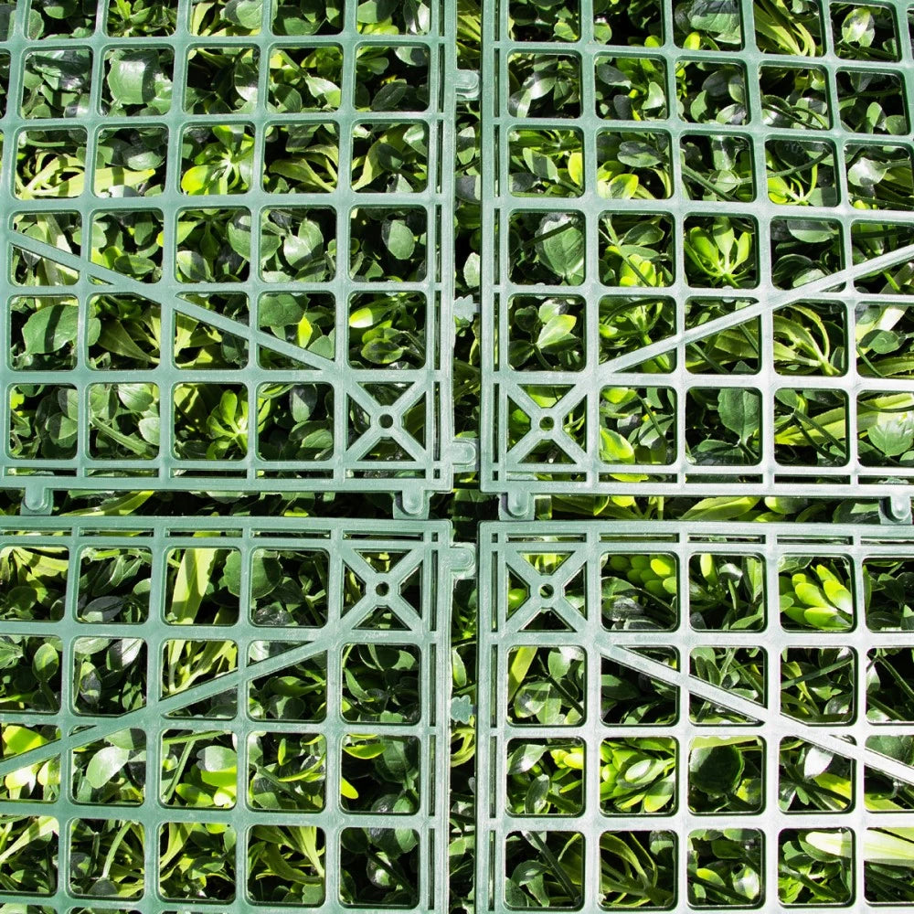 Mur Végétal Design