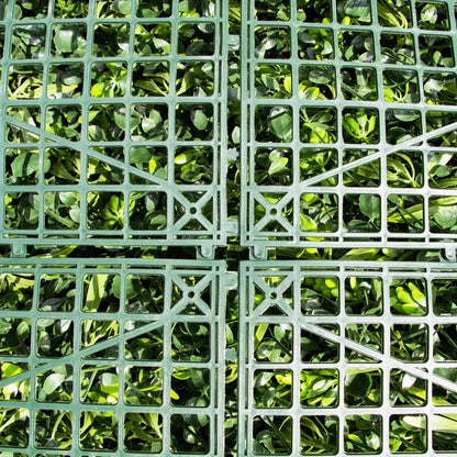 Mur Végétal Design