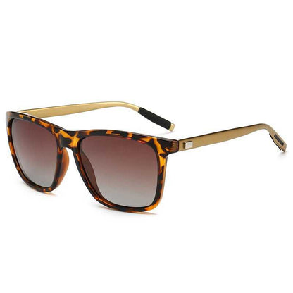 Lunettes de soleil polarisantes