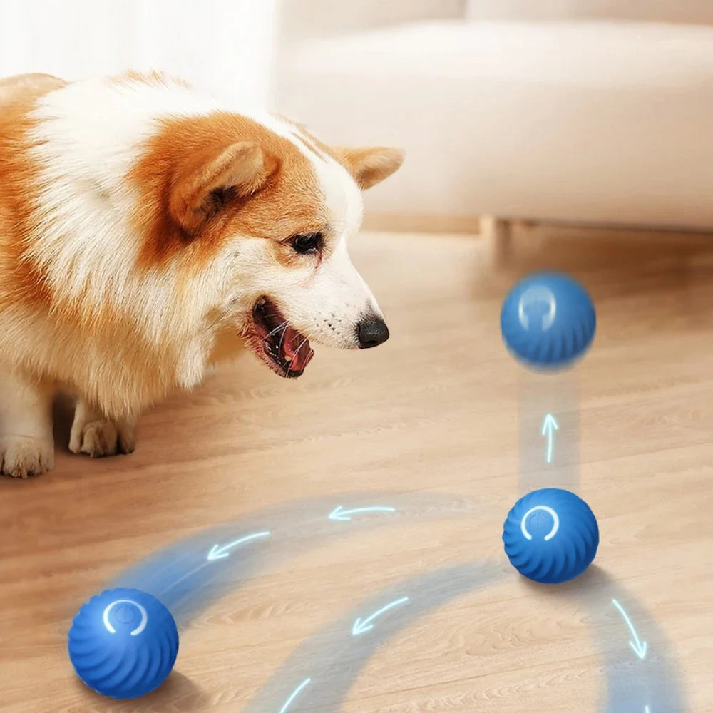 Jouet interactif pour chien et chat