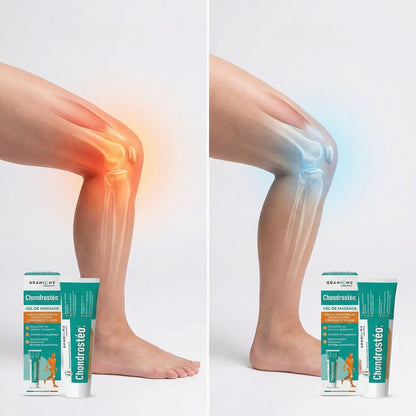 GRANIONS CHONDROSTÉO: Gel pour articulations