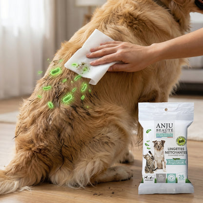 Gant lingettes purifiante à l’aloe vera