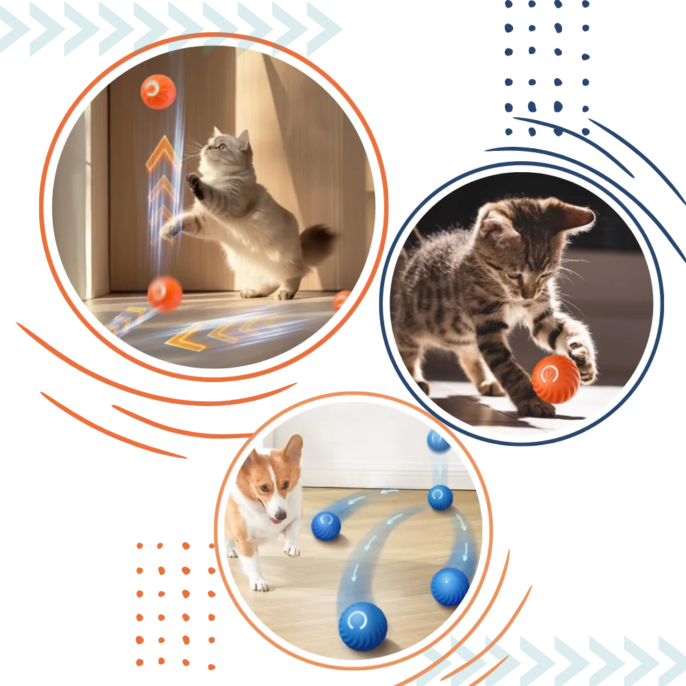Jouet interactif pour chien et chat