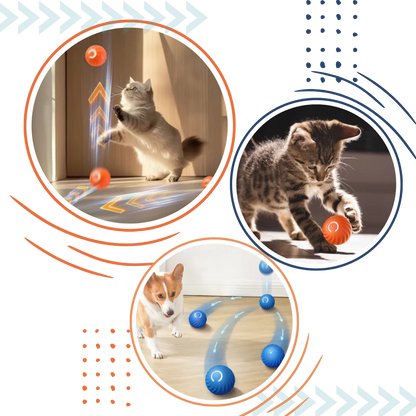 Jouet interactif pour chien et chat